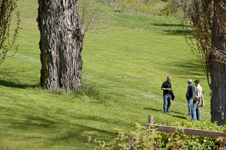 Malma Gårds jätteträd